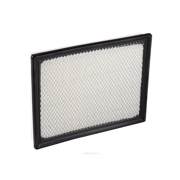 Ryco Air Filter - A491