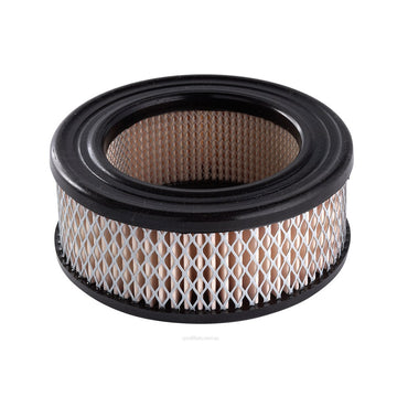 Ryco Air Filter - A109