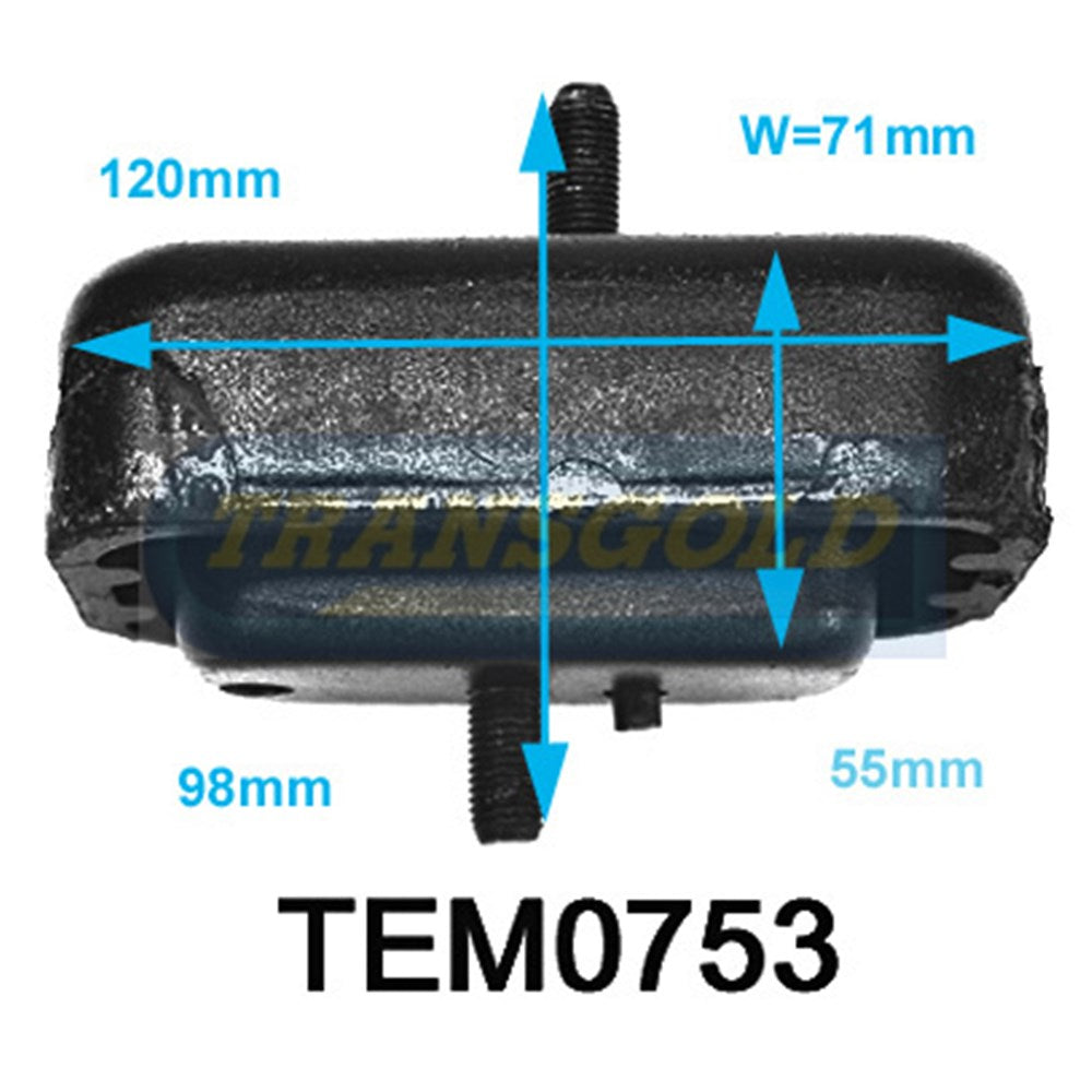 Transgold Engine Mount - TEM0753 - (Single)