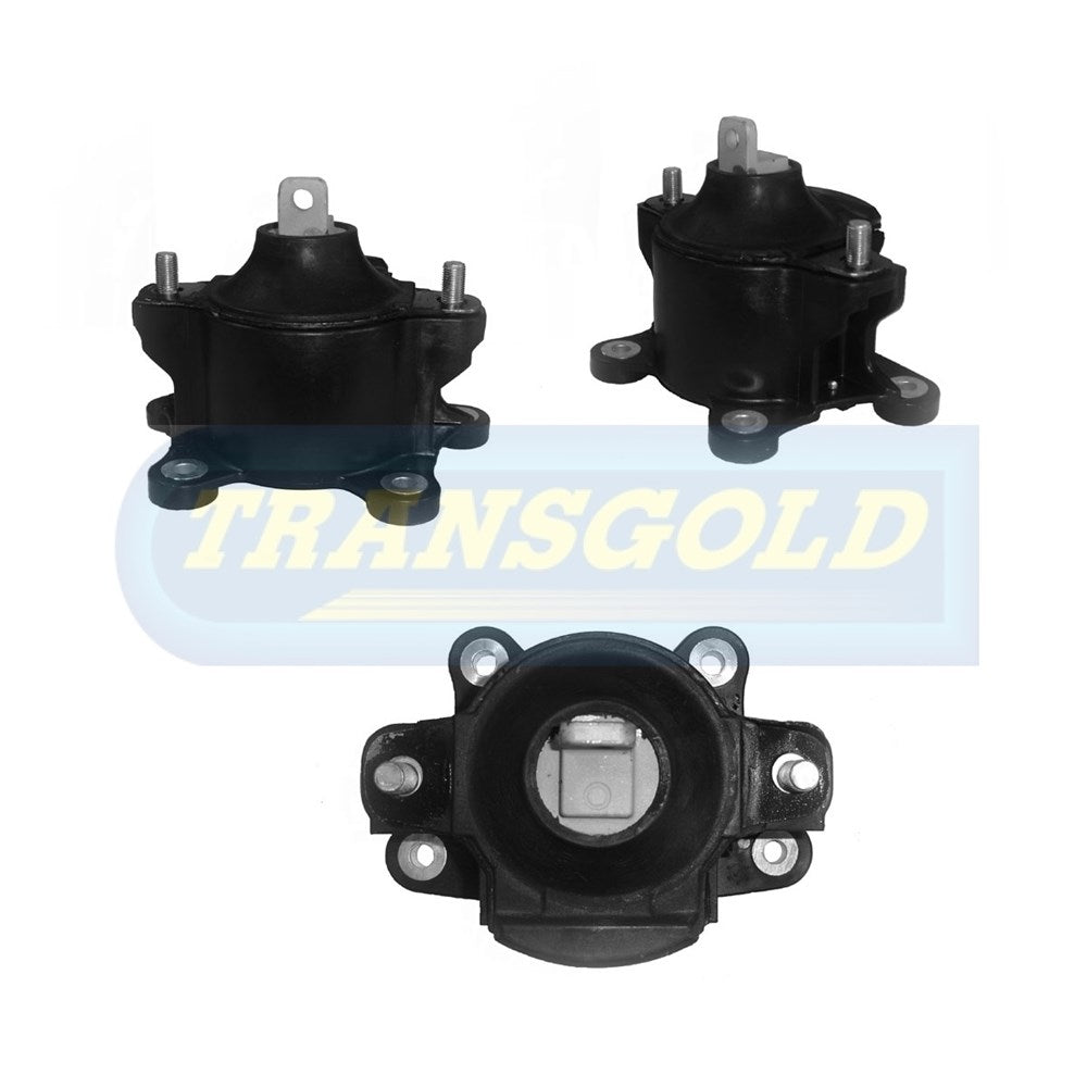 Transgold Engine Mount - TEM2339 - (Single)