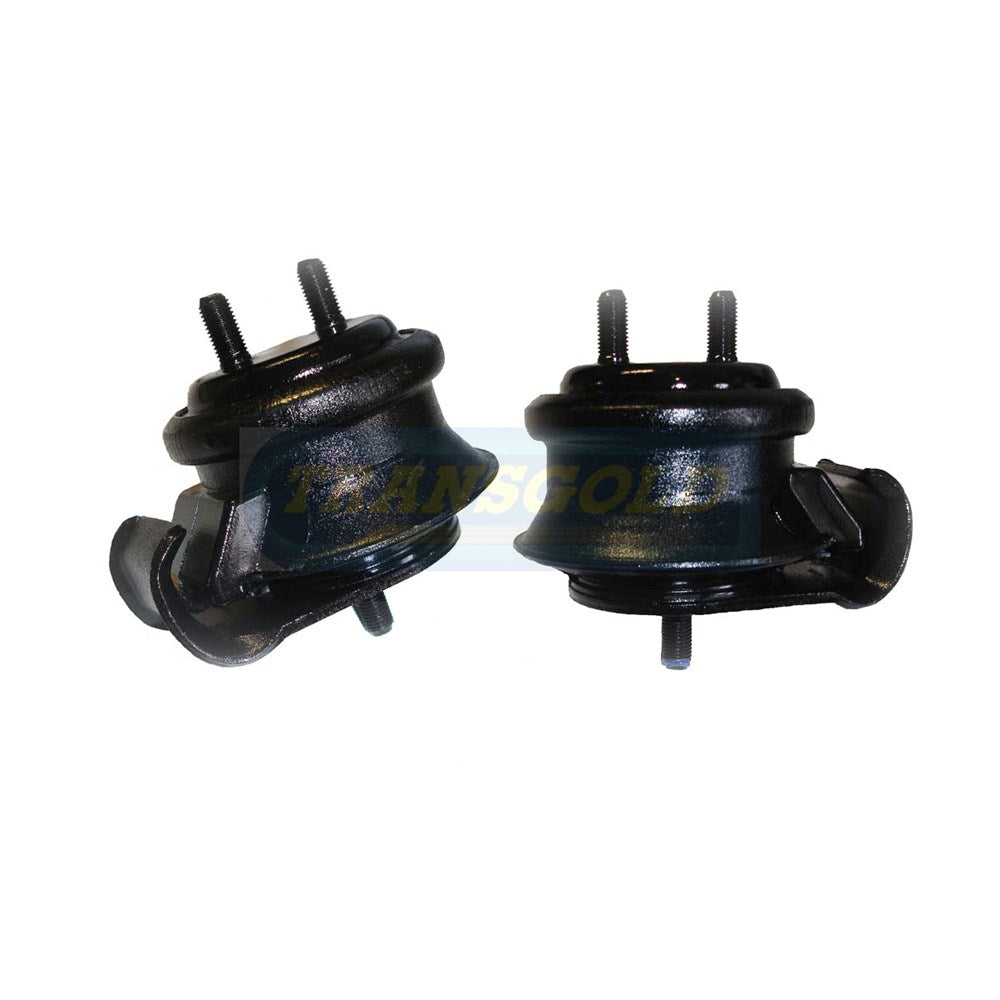 Transgold Engine Mount - TEM2319 - (Single)