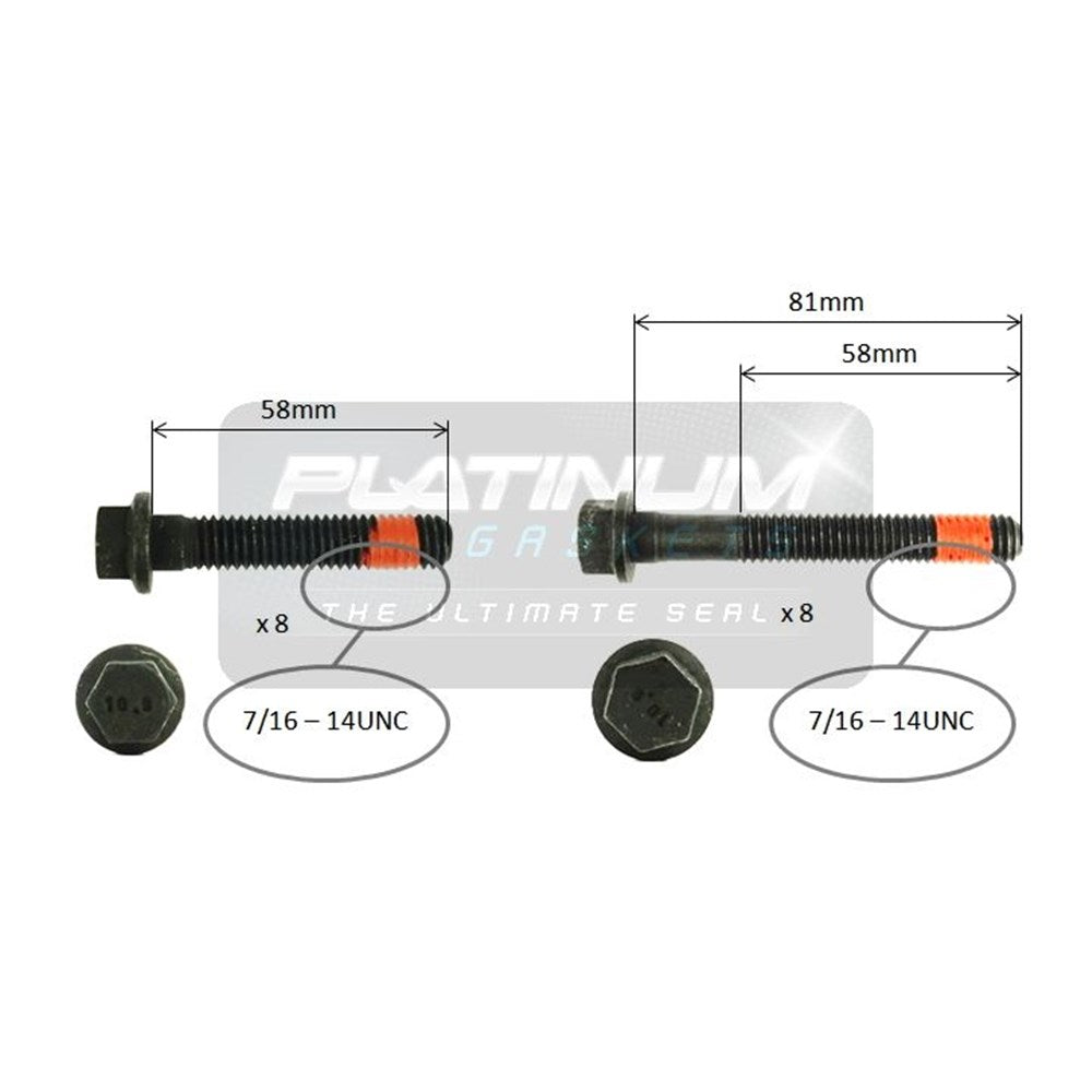 Platinum Cylinder Head Bolt Set - HBS0613