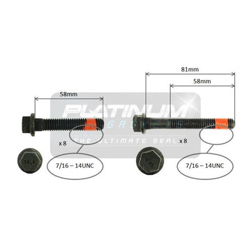 Platinum Cylinder Head Bolt Set - HBS0613