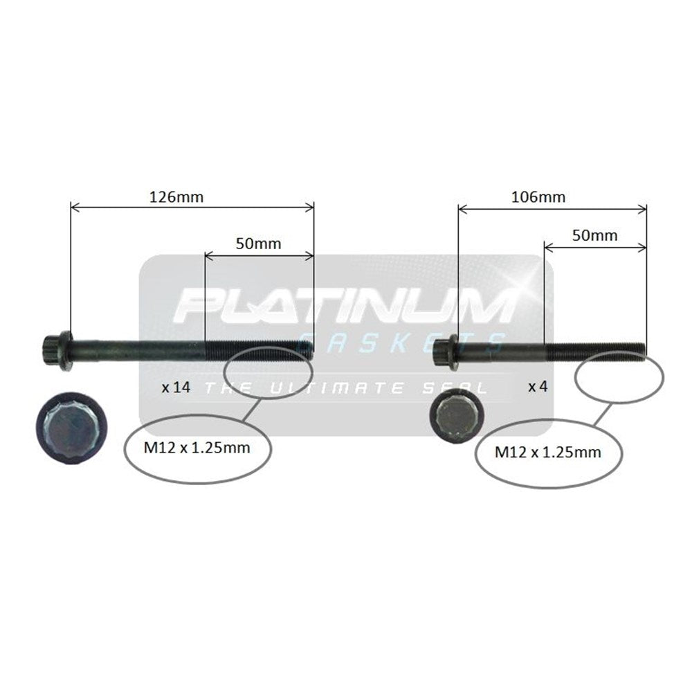 Platinum Cylinder Head Bolt Set - HBS0170