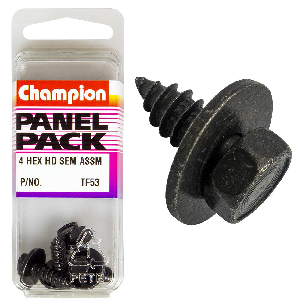 Champion Fasteners Self Tapping Screws (Self Tapping Screws/SEMS Screws with Flat Washers, 5.5x19mm, Black) - Pack of 4 - TF53