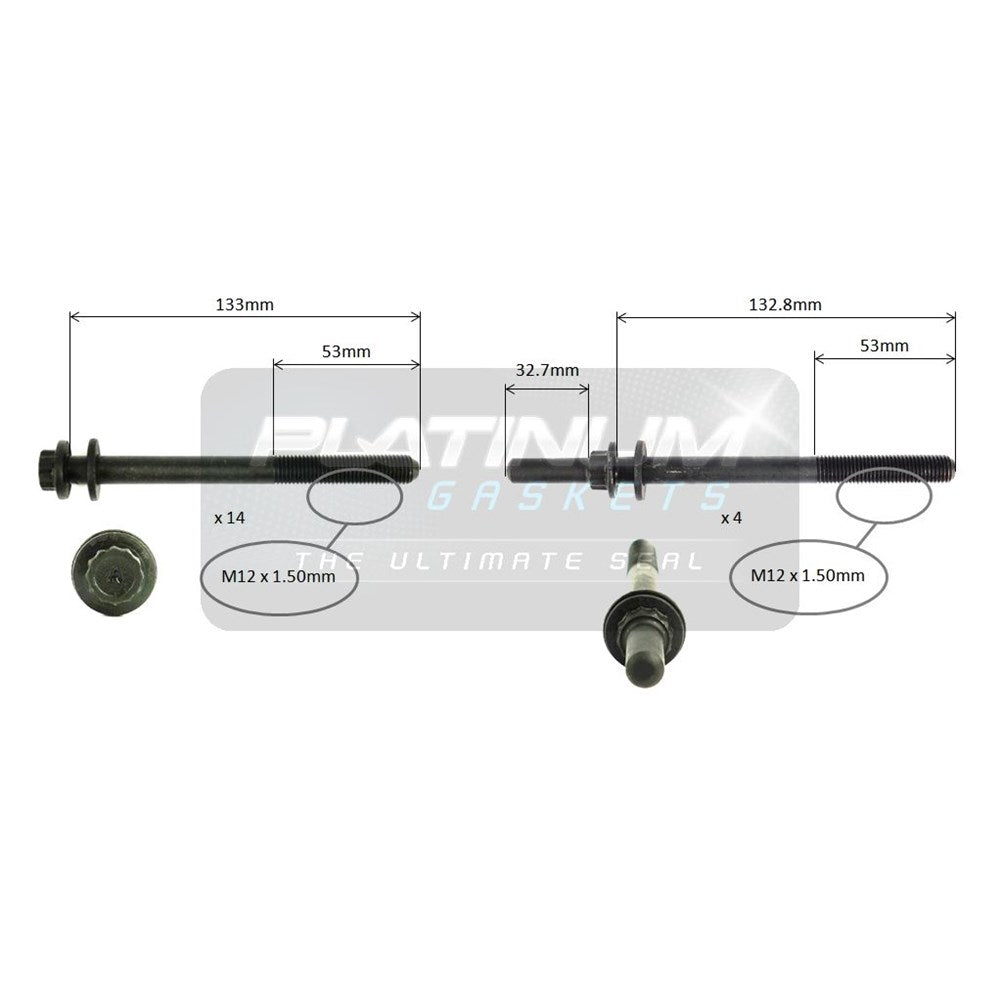 Platinum Cylinder Head Bolt Set - HBS0224