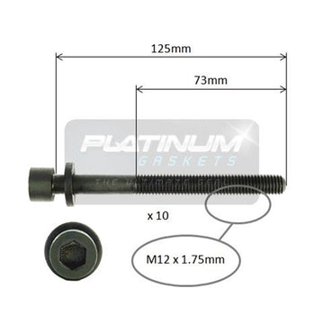 Platinum Cylinder Head Bolt Set - HBS0230