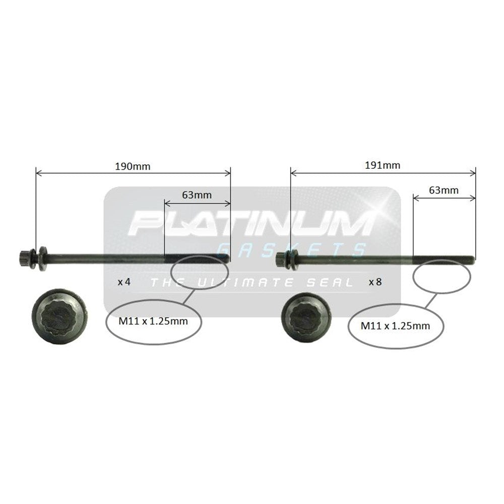 Platinum Cylinder Head Bolt Set - HBS0218