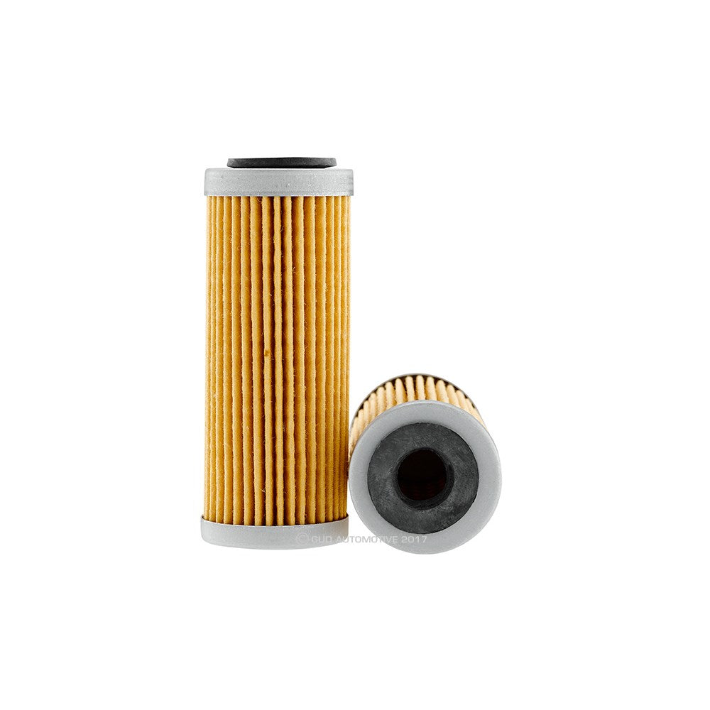 Ryco Oil Filter  RMC135