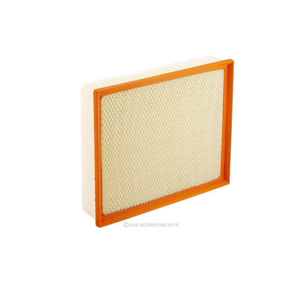 Ryco Fireguardian Air Filter - A1829FG