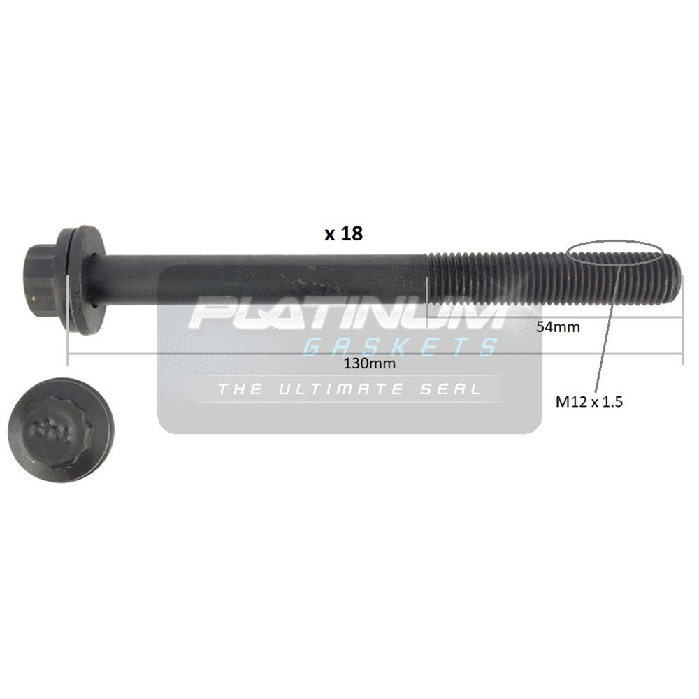 Platinum Cylinder Head Bolt Set - HBS0637