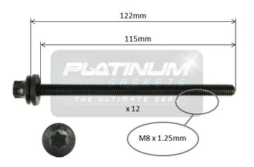 Platinum Cylinder Head Bolt Set - HBS0022