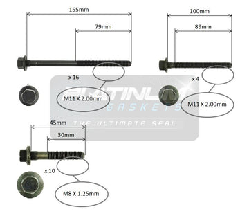 Platinum Cylinder Head Bolt Set - HBS0622