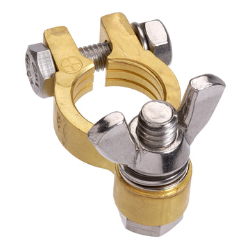 Projecta BT614-P1 Forged Brass Wingnut Terminal Clamp, Positive